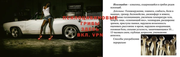 jwh Беломорск