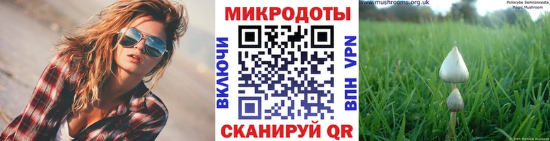 где найти наркотики  Курильск  Галлюциногенные грибы Cubensis 